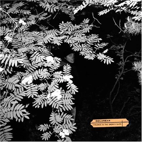 DOLOREAN / ドロリアン / VIOLENCE IN THE SNOWY FIELDS