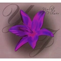 YOLANDA JOHNSON / VIOLET FLOWER