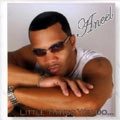 ANEEL / LITTLE THINGS YOU DO...