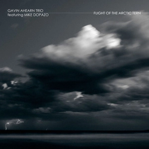 GAVIN AHEARN / ギャヴィン・エイハーン / FLIGHT OF THE ARCTIC TERN