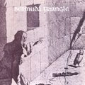 BERMUDA TRIANGLE / バミューダ・トライアングル / BERMUDA TRIANGLE (CD)