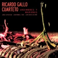 RICARDO GALLO / リカルド・ガロ / URDIMBRES Y MARANAS
