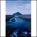 SIGUR ROS / シガー・ロス / HEIMA (STANDARD)