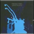 FRIENDLY FIRES / フレンドリー・ファイアーズ / JUMP IN THE POOL