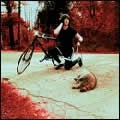 WHITE STRIPES / ホワイト・ストライプス / DENIAL TWIST