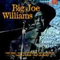 BIG JOE WILLIAMS / ビッグ・ジョー・ウィリアムズ / BABY PLEASE DON'T GO