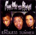 FUCK ON THE BEACH / ENDLESS SUMMER