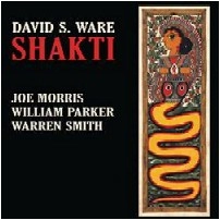 DAVID S WARE / デヴィッド・S・ウェア / SHAKTI