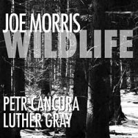 JOE MORRIS / ジョー・モリス / WILD LIFE