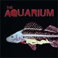 AQUARIUM / アクアリウム / AQUARIUM