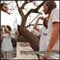 SATURDAY LOOKS GOOD TO ME / サタデイ・ルックス・グッド・トゥー・ミー / COLD COLORS