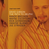 DAVID GIBSON / デビッド・ギブソン / PATH TO DELPHI