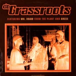 DA GRASSROOTS / THEMATICS