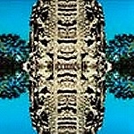 RUINS / ルインズ / ヴレスト