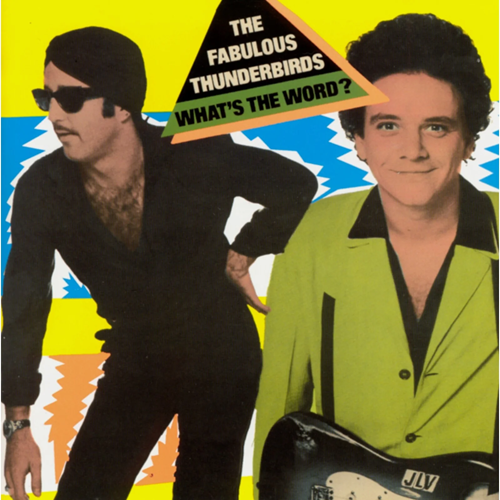 FABULOUS THUNDERBIRDS / ファビュラス・サンダーバーズ / WHAT'S THE WORD