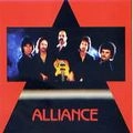ALLIANCE (AOR) / アライアンス / ALLIANCE