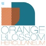 HERCULANEUM / ヘルクラネウム / ORANGE BLOSSOM