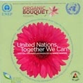 UNITED NATIONS / TOGETHER WE CAN