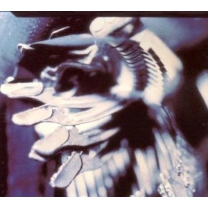 PIANO MAGIC / ピアノ・マジック / WRITERS WITHOUT HOMES