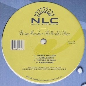 BRIAN HARDEN / WORLD PEACE