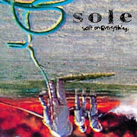 SOLE / SALT ON EVERYTHING アナログLP
