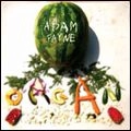 ADAM PAYNE / ORGAN