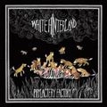 WHITE HINTERLAND / ホワイト・ヒンターランド / PHYLACTERY FACTORY