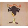 BOWERBIRDS / バウアーバーズ / HYMNS FOR A DARK HORSE
