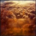 BOWERBIRDS / バウアーバーズ / UPPER AIR
