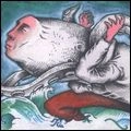 OKKERVIL RIVER / オッカーヴィル・リヴァー / DOWN THE RIVER OF GOLDEN DREAMS