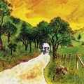 SKYGREEN LEOPARDS / スカイグリーン・レパーズ / DISCIPLES OF CALIFORNIA