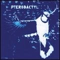 PTERODACTYL / プテロダクティル / PTERODACTYL