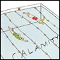 CURTAINS / CALAMITY