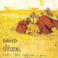 DAVID AND THE CITIZENS / デヴィッド・アンド・ザ・シチズンズ / UNTIL THE SADNESS IS GONE