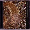 V.A. / SO MUCH FIRE TO ROAST HUMAN FLESH