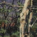 ANOMOANON / アノモアノン / ASLEEP MANY YEARS IN THE WOOD