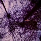 JOE MCDUPHREY (YESTERDAYS NEW QUINTET) / EXPERIENCE EP