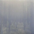 BENJAMIN FEHR/FFWD / TRUTH & CONSEQUENCES EP