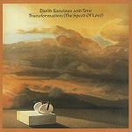 DAVID SANCIOUS & TONE / デイヴィッド・サンシャス&トーン / TRANSFORMATION(THE SPEED OF LOVE)