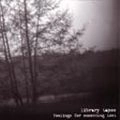 LIBRARY TAPES / ライブラリー・テープス / FEELINGS FOR SOMETHING LOST