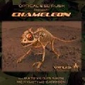 OPTICAL & ED RUSH / CHAMELEON