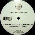 BREAK / ENIGMA(CALIBRE REMIX)/SHIPMENT