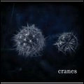 CRANES / クレインズ / CRANES