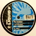 INVADERZ / FOR ALL THE PEOPLE/LETS TRY
