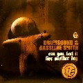 DRUMSOUND & BASSLINE SMITH / CAN YOU FEEL IT