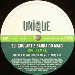 ELI GOULART / MEU SAMBA