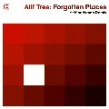 ALIF TREE / FORGOTTEN PLACES(MOODYMAN REMIX)