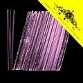V.A.(PHREEK PLUS ONE,ALEX ATTIAS PRES. MUSTANG,MUALLEM...) / COMPOST BLACK LABEL SERIES VOL.3