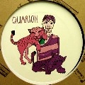 QUARION / WORKOUT/VIBRATIONS