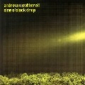 ANDREW WEATHERALL / アンドリュー・ウェザオール / NINE O'CLOCK DROP